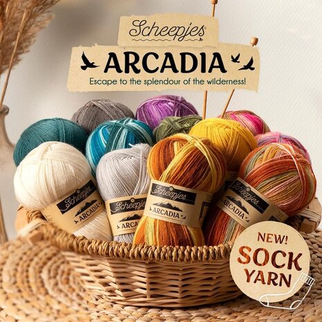  Rain forest 905 Arcadia socks | scheepjes