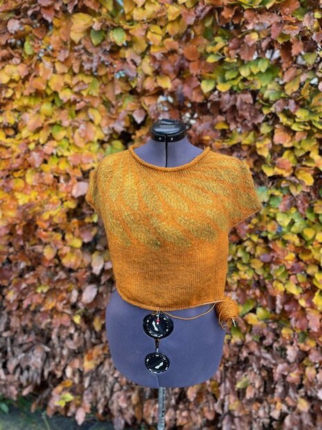 Acadia - The Fibre Co.