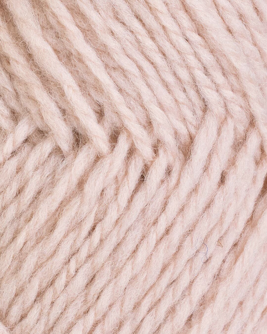 Rosa Sky 19| Fivel