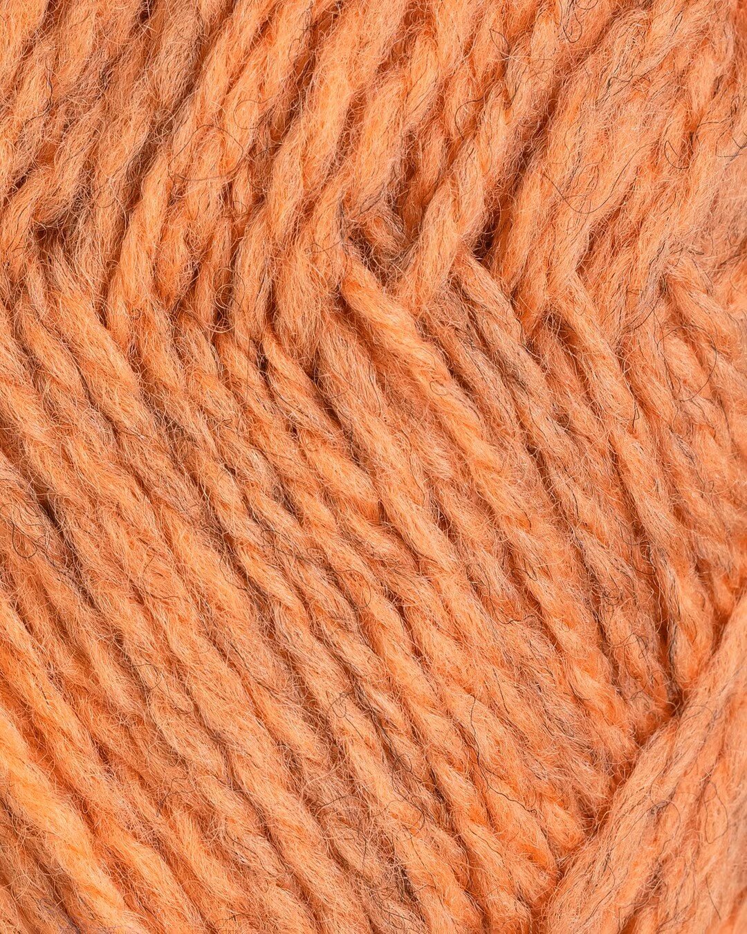 Fresken  303 |  Fivel