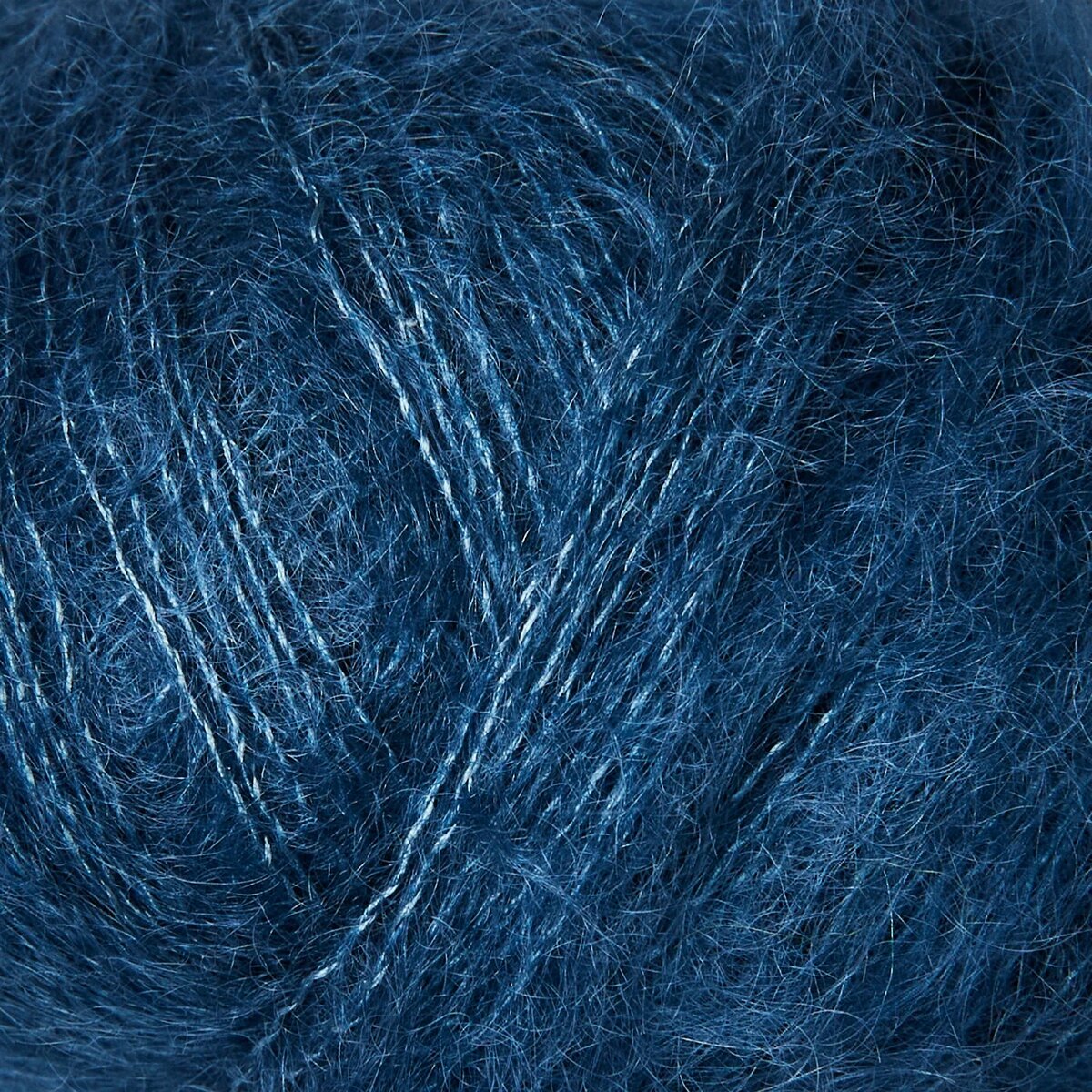 Blue Tit