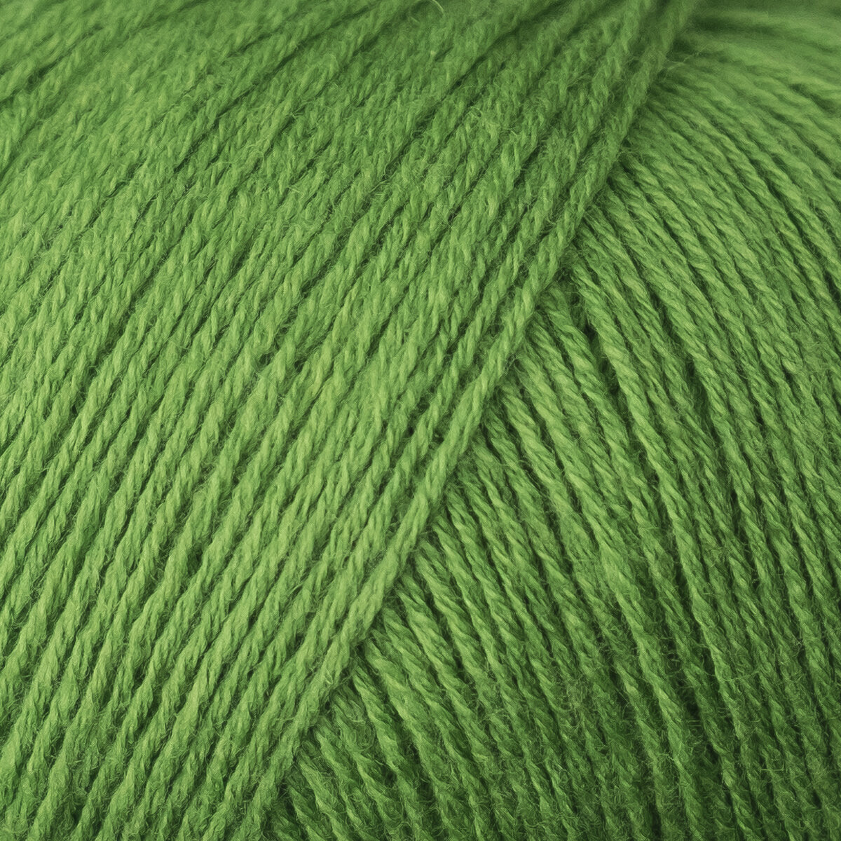 Clover green