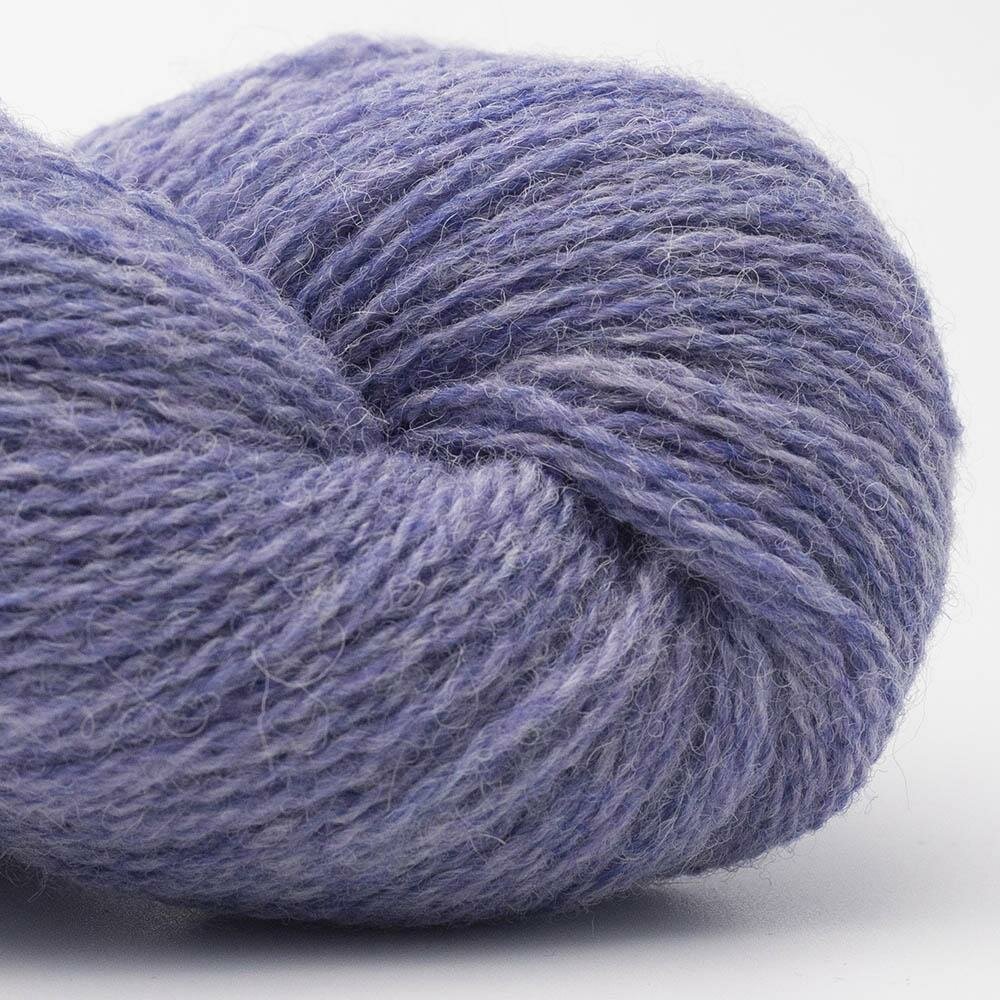 Lavendel | Bio Shetland