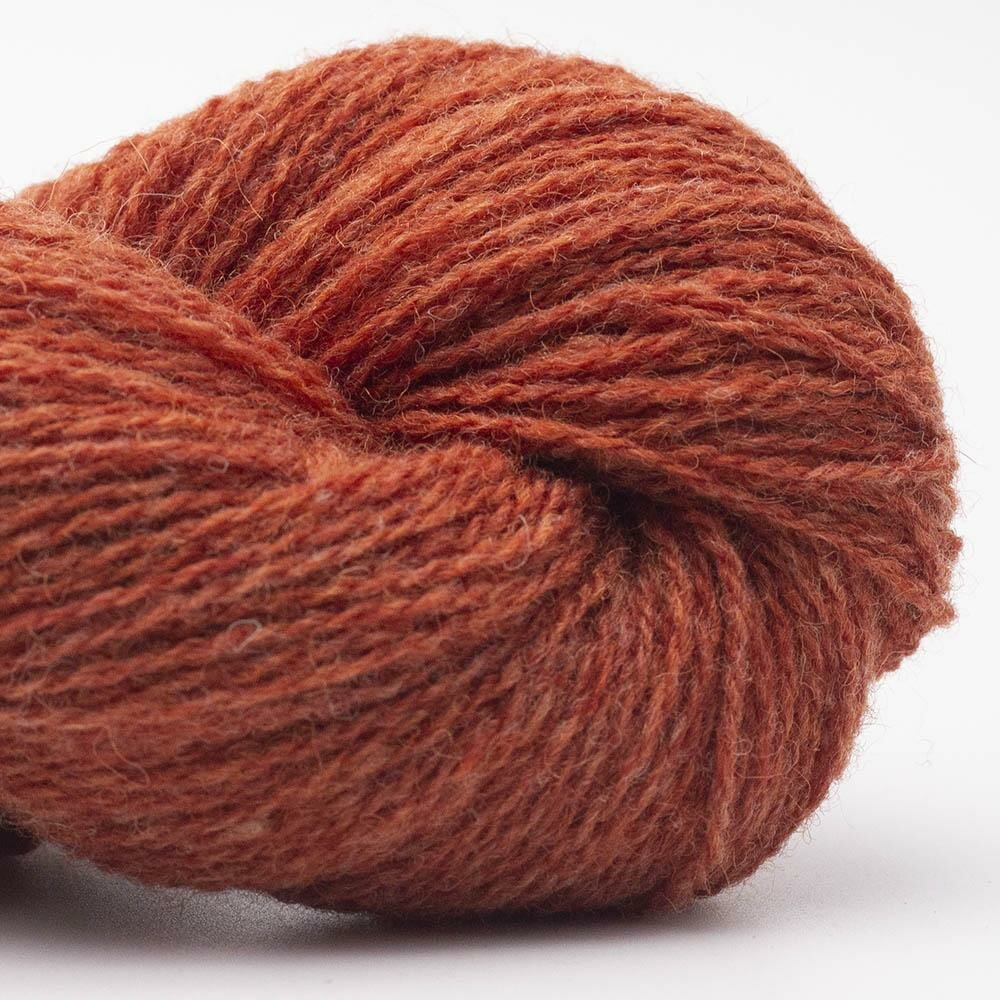 Rusty Orange