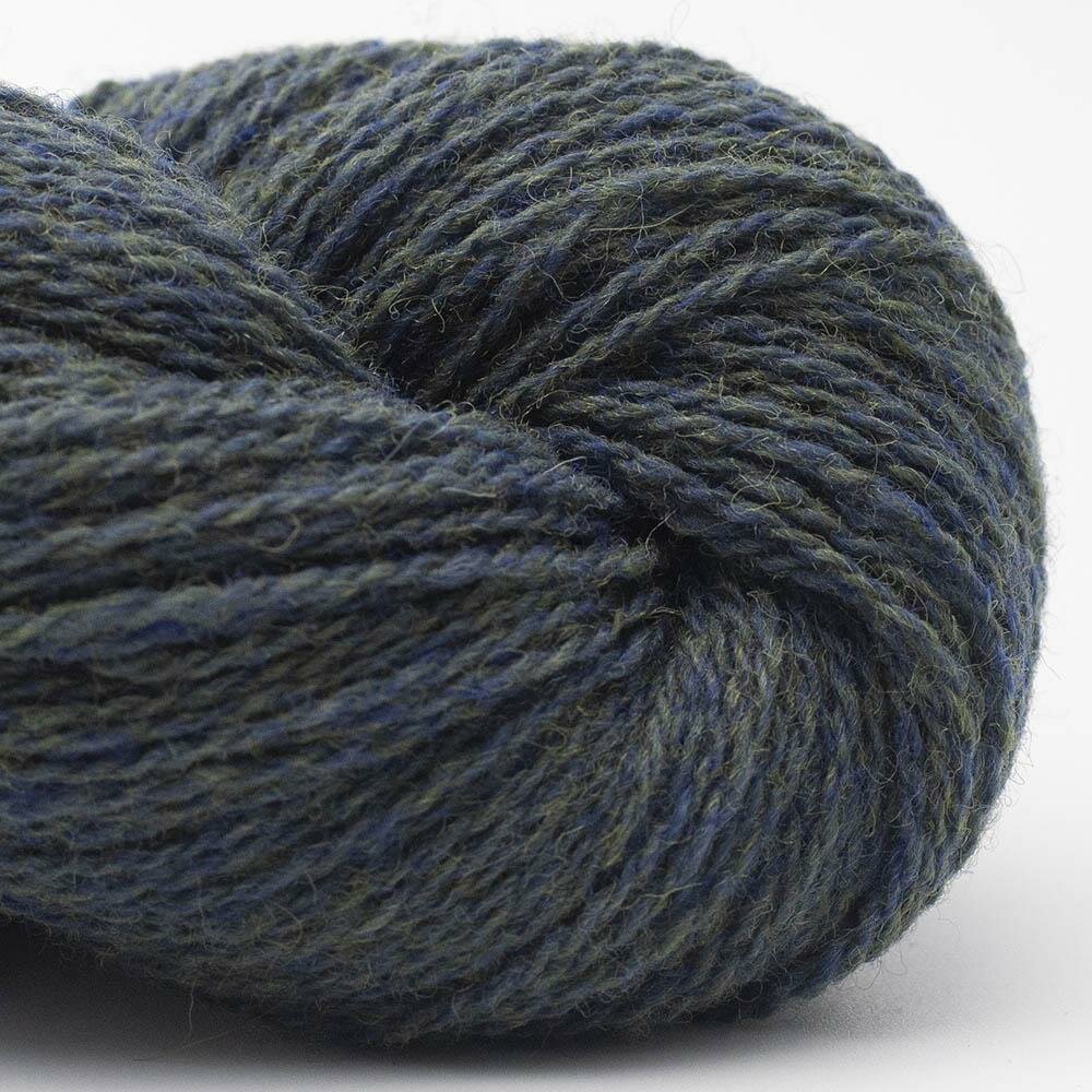 Blauwgroen- Fern