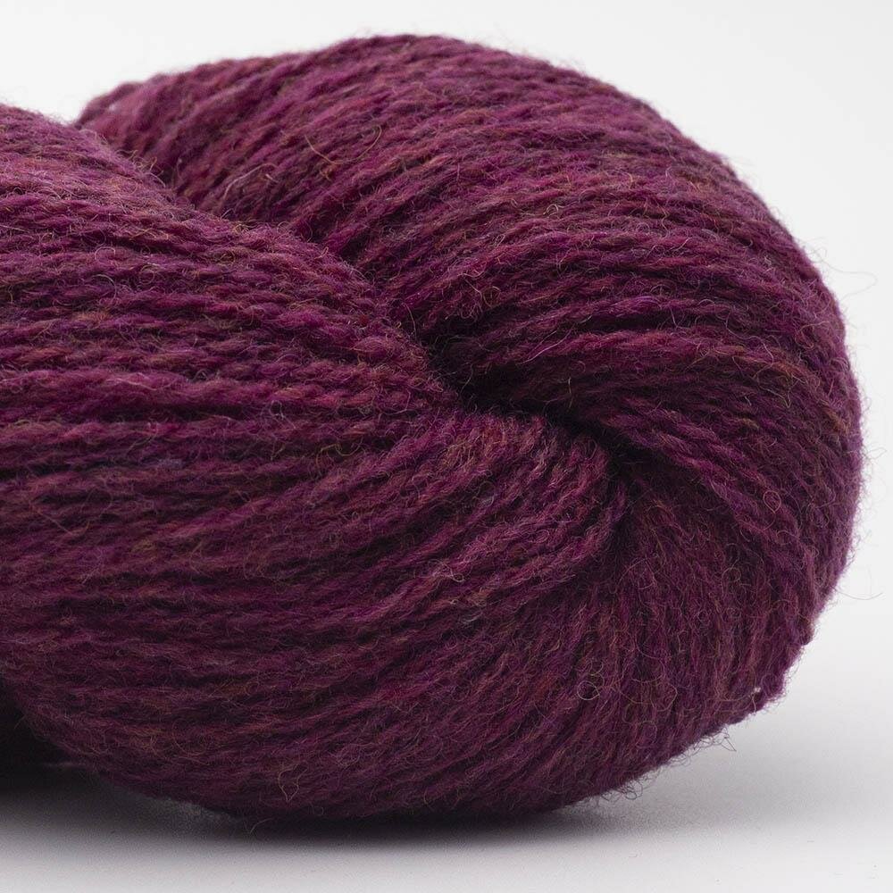Plum-Bio shetland