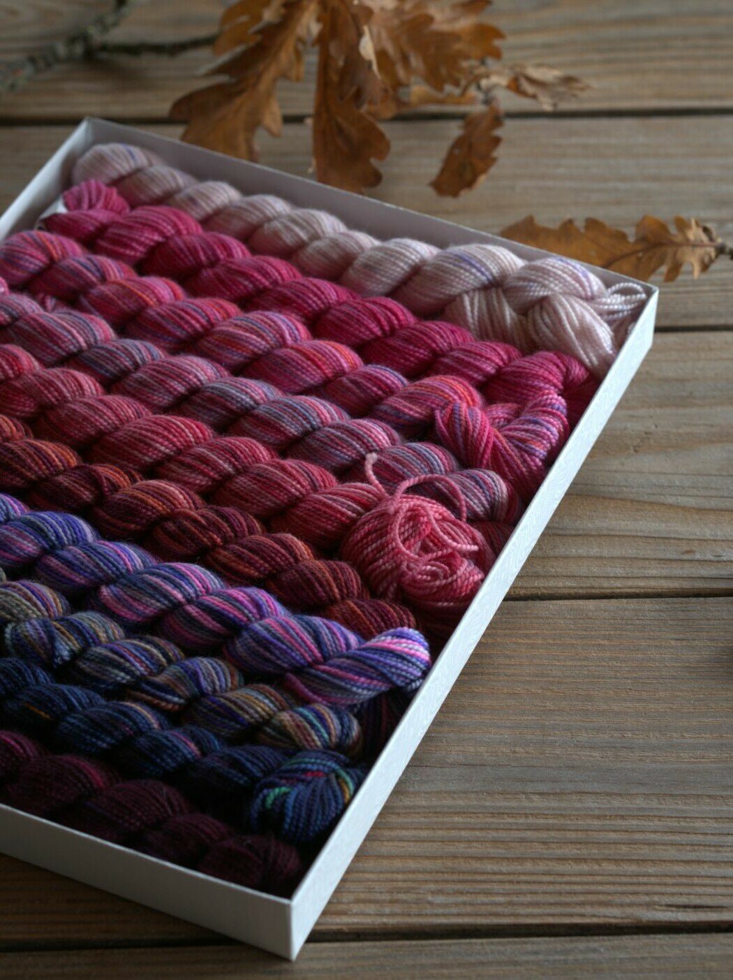 Forest fruit | Koigu Pencil box