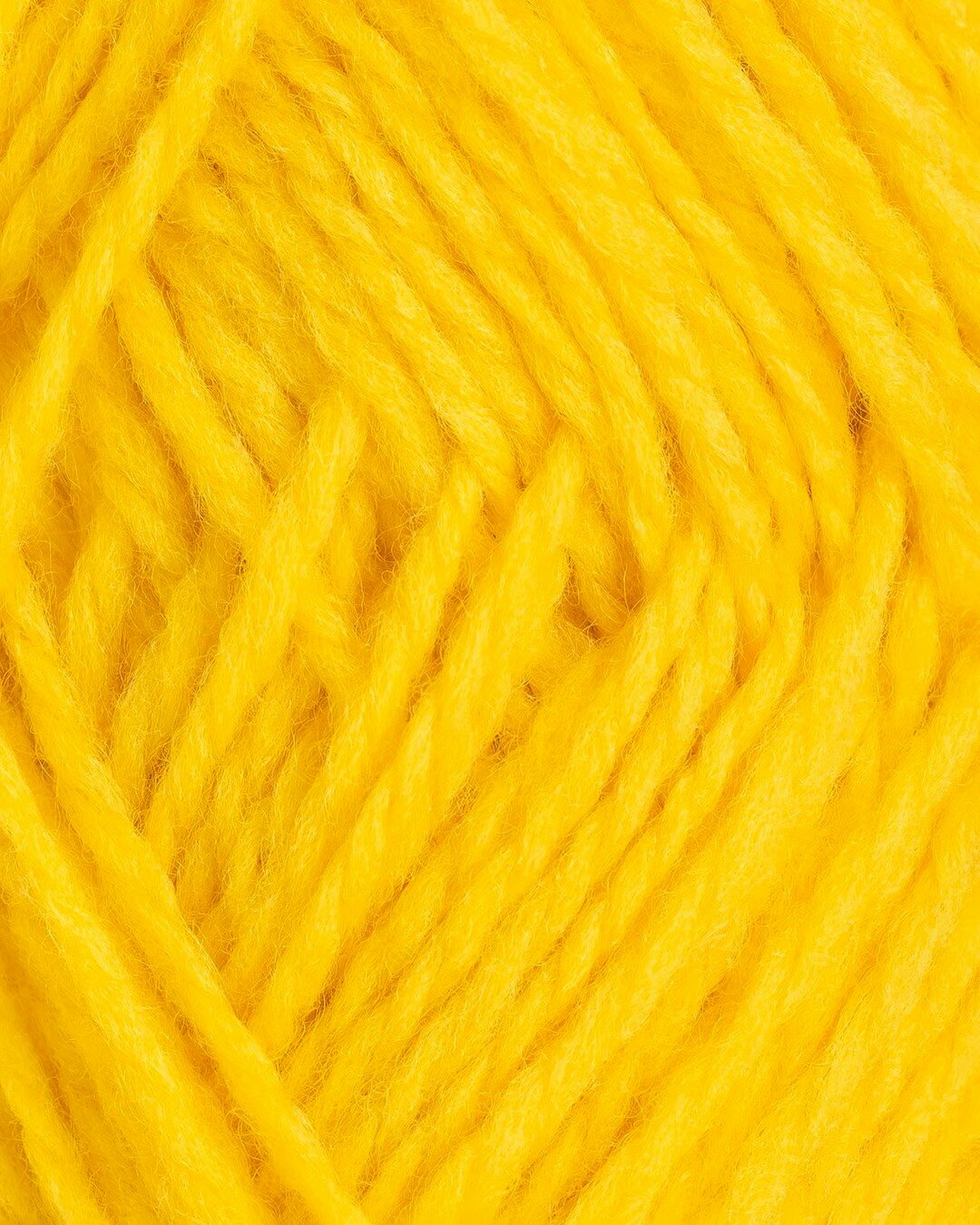 Gul 14 (Geel) | Fivel