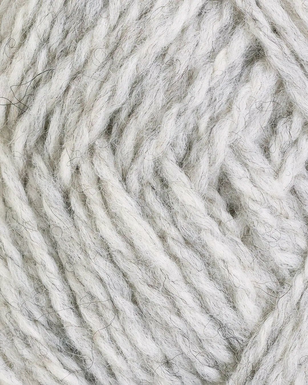 Lichtgrijs 300 |   Fivel