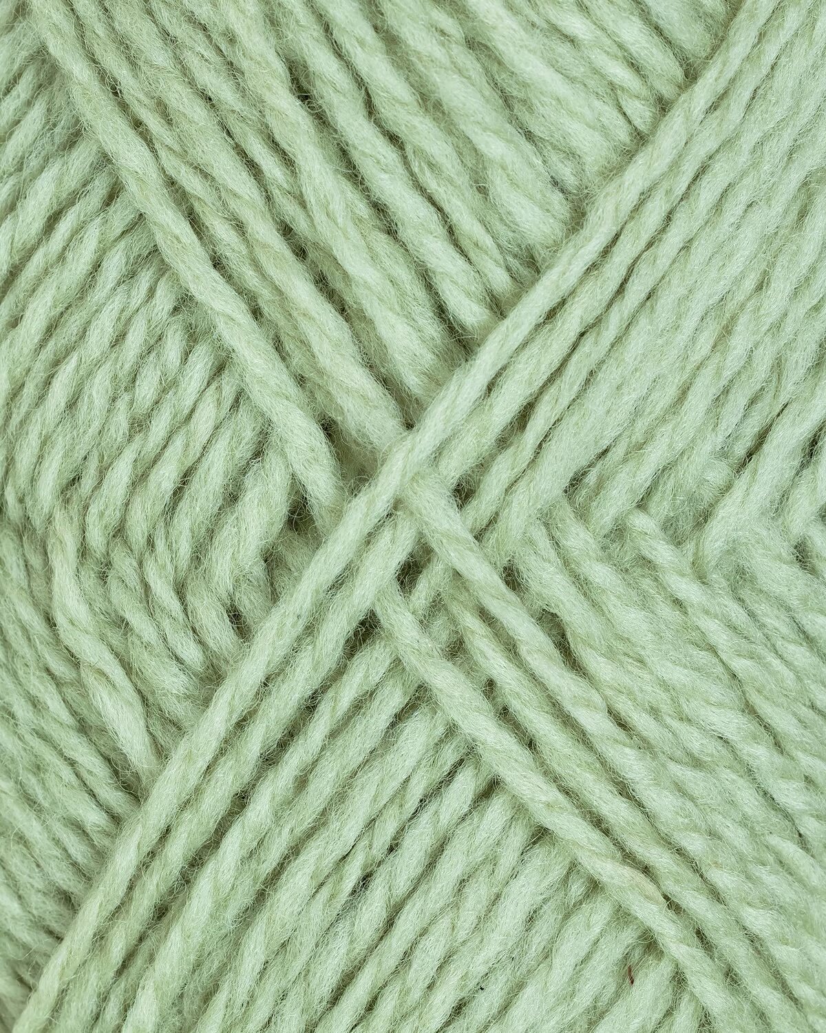 Pistasche 190 | Fivel