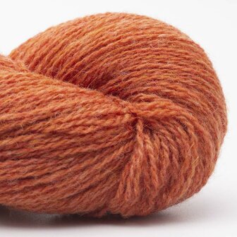 Bio Shetland Oranje