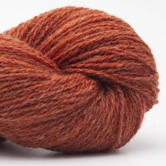 Rusty Orange