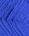 Blauw 21 | Fivel