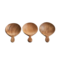 houten lepelttje