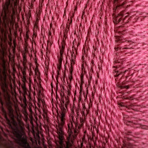 Framboos 326