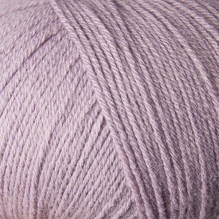 Artischoke purple
