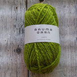 Vams Eplegrønn (Appelgroen)