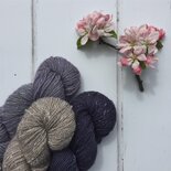 Sea Lavendel | Acadia