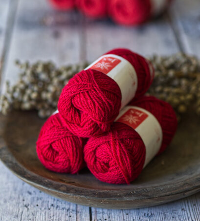 JS93-rood