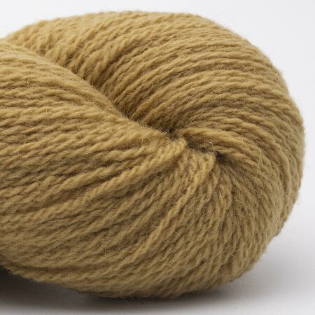 Curry | Bio Shetland Gots