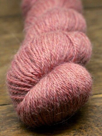 Broken flower | Devonia DK
