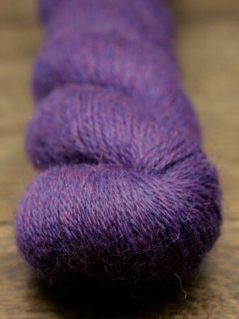 Night Shade| Devonia DK