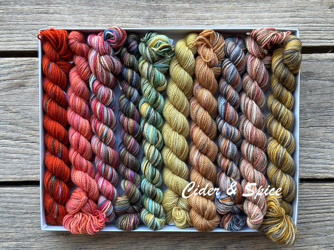 Koigu Wool Designs Holiday Pencil Boxes - set van 10 gekleurde wolstrengen: Chestnuts Roasting