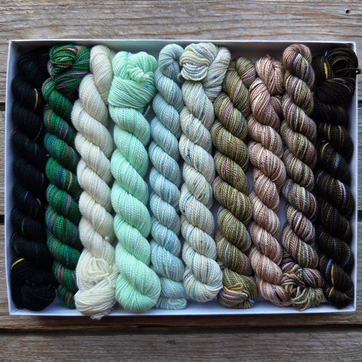 Koigu Wool Designs Holiday Pencil Boxes - set van 10 gekleurde wolstrengen: Snowy Pines
