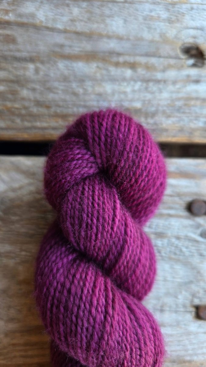 Koigu yarns Koigu KPM Berry - Handgeverfd merino semi solids