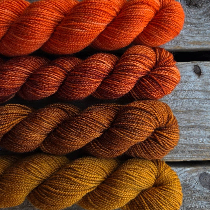 Koigu yarns Koigu KPM Familie Herfst kleuren