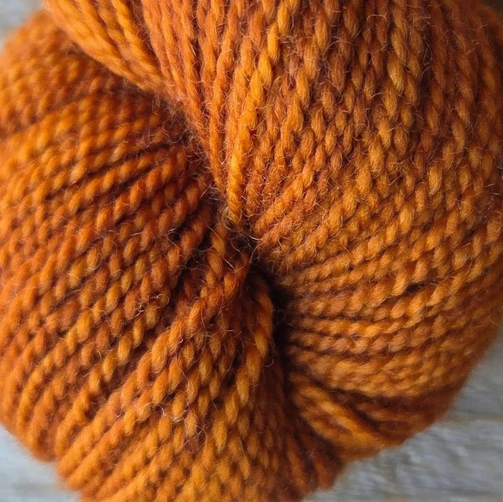 Koigu yarns Koigu KPM Familie Herfst kleuren
