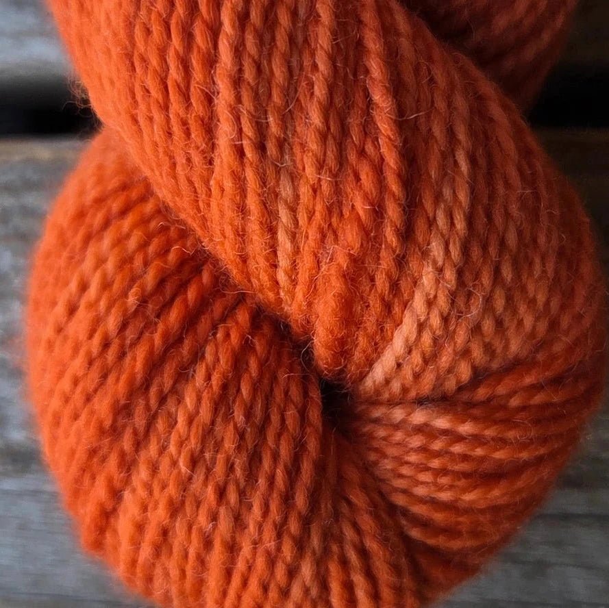 Koigu yarns Koigu KPM Familie Herfst kleuren