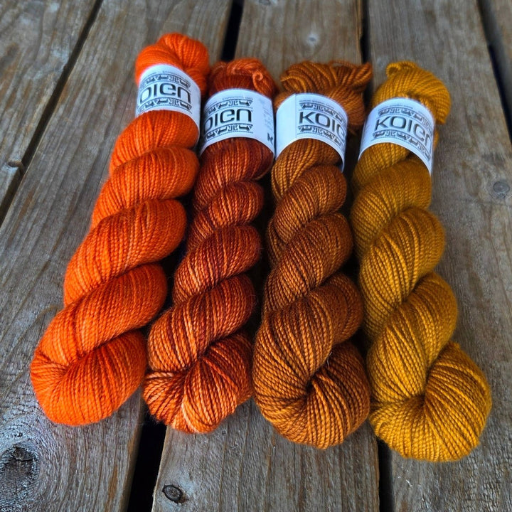 Koigu yarns Koigu KPM Familie Herfst kleuren