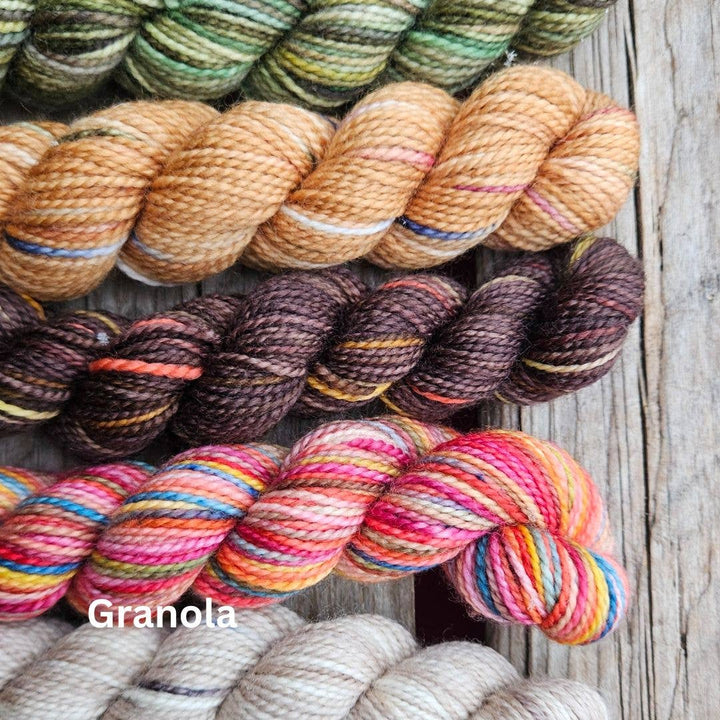 Koigu Wool Designs Koigu Paint cant (verfblikjes merino garen)