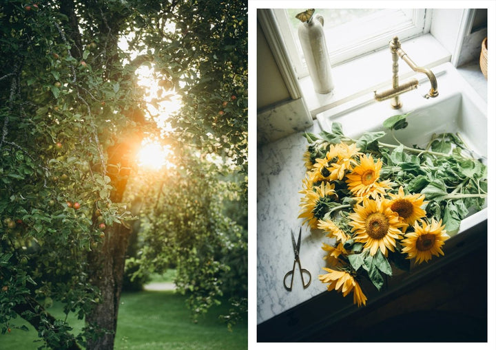 Cozy Publishing Nordic Summer Cookbook